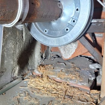 Immagine WhatsApp 2025-01-10 ore 17.46.40_c013be72