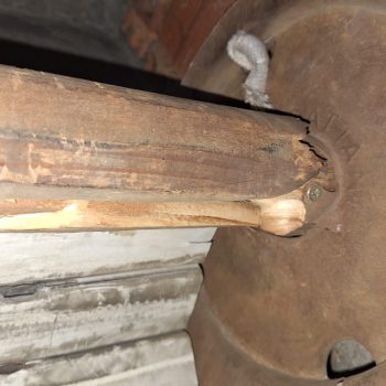 Immagine WhatsApp 2025-01-10 ore 17.47.42_299660ab